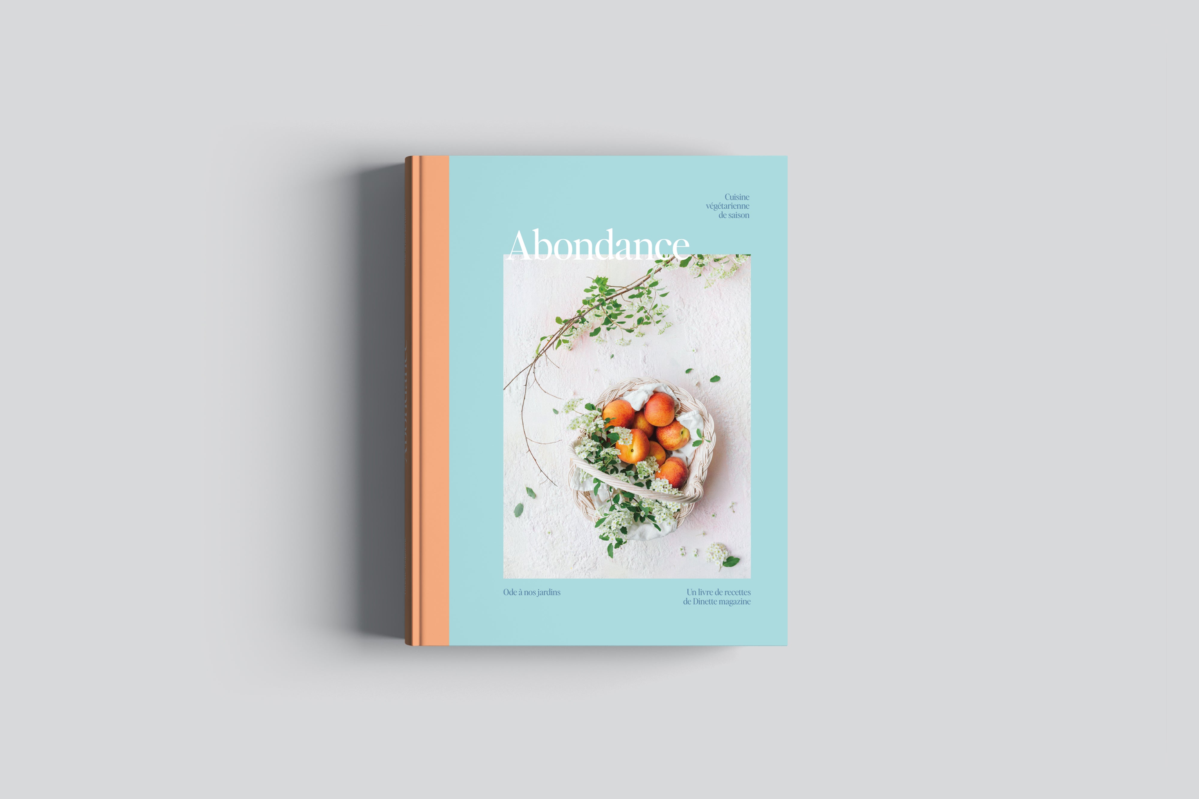 Livre - Abondance