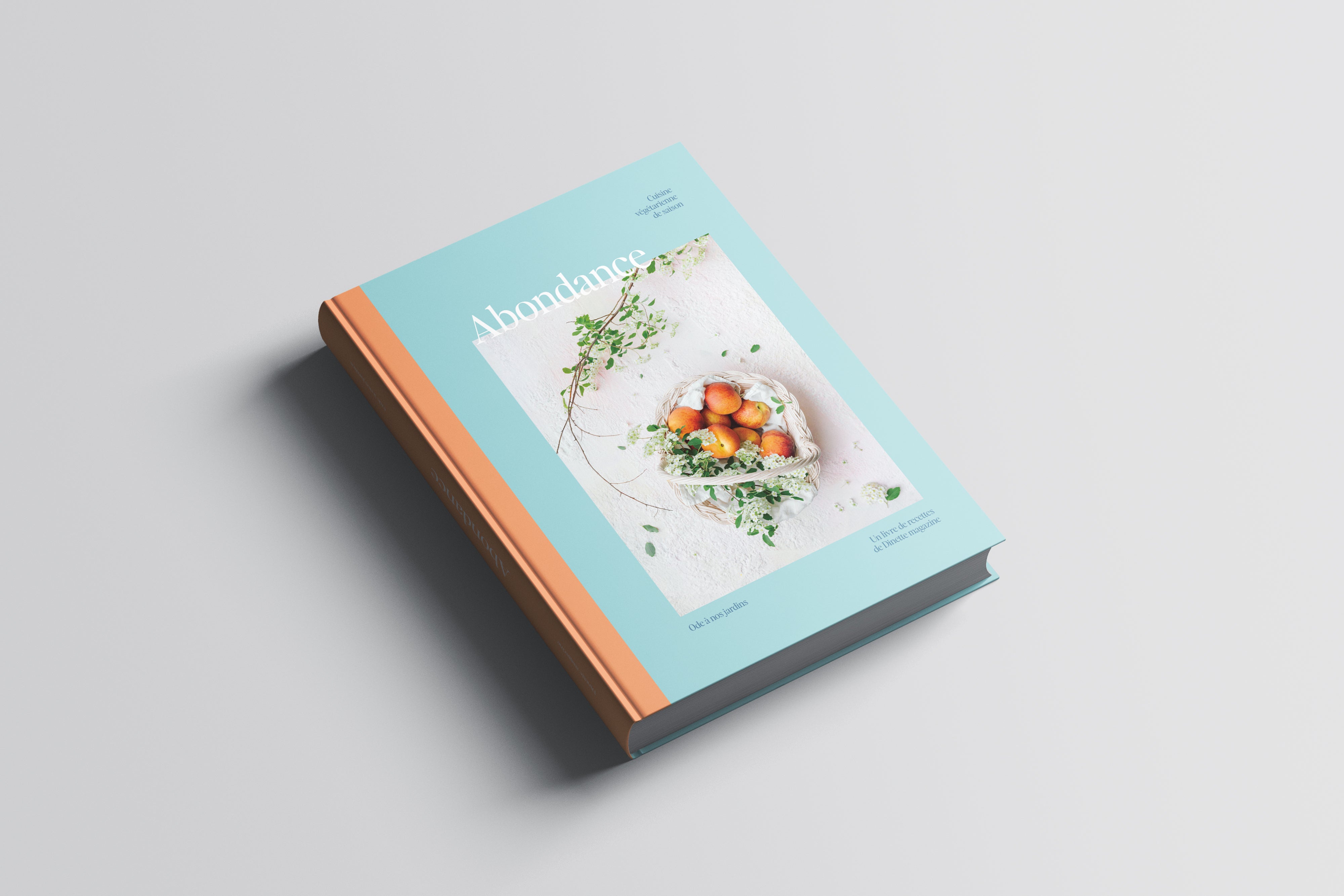 Livre - Abondance