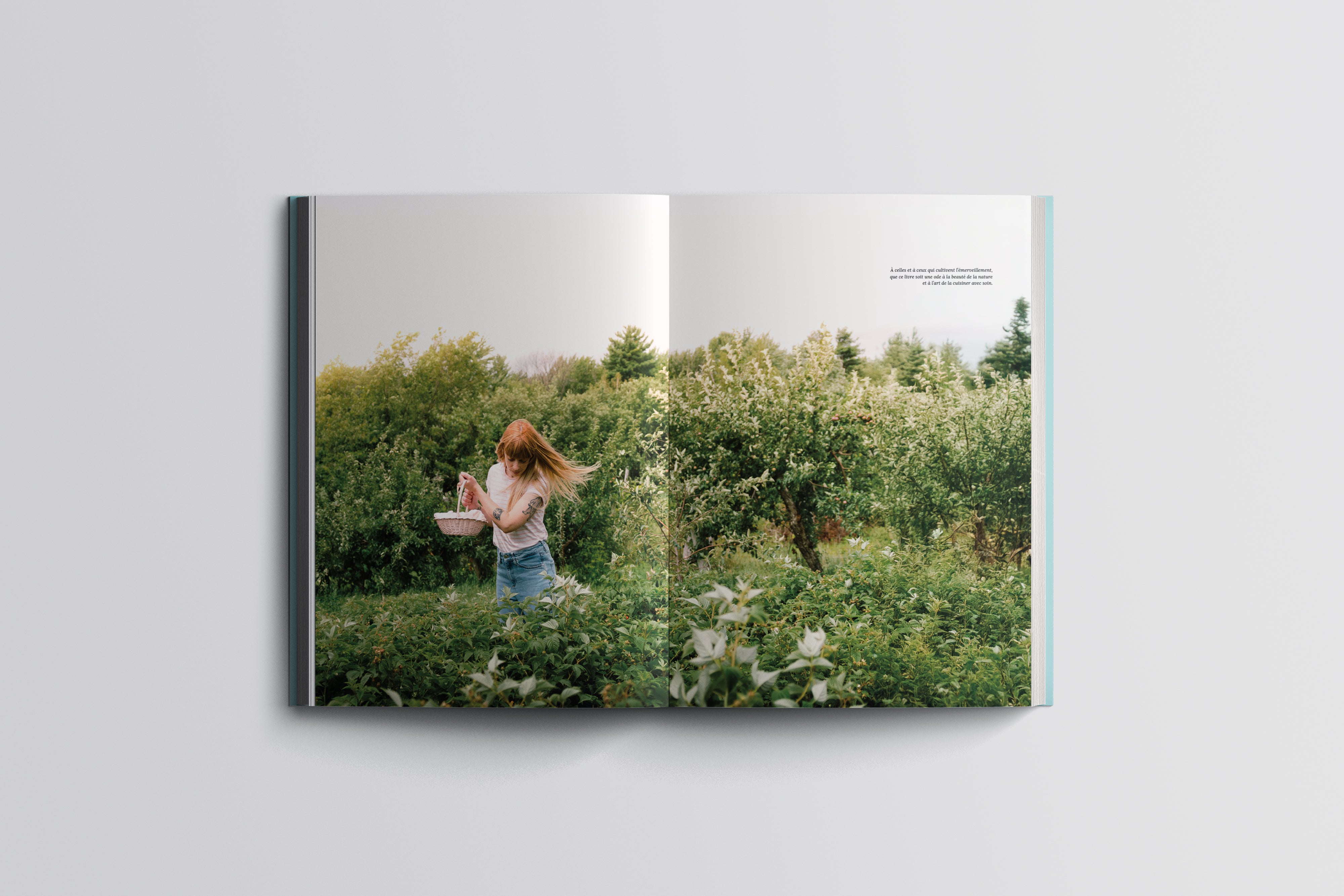 Livre - Abondance