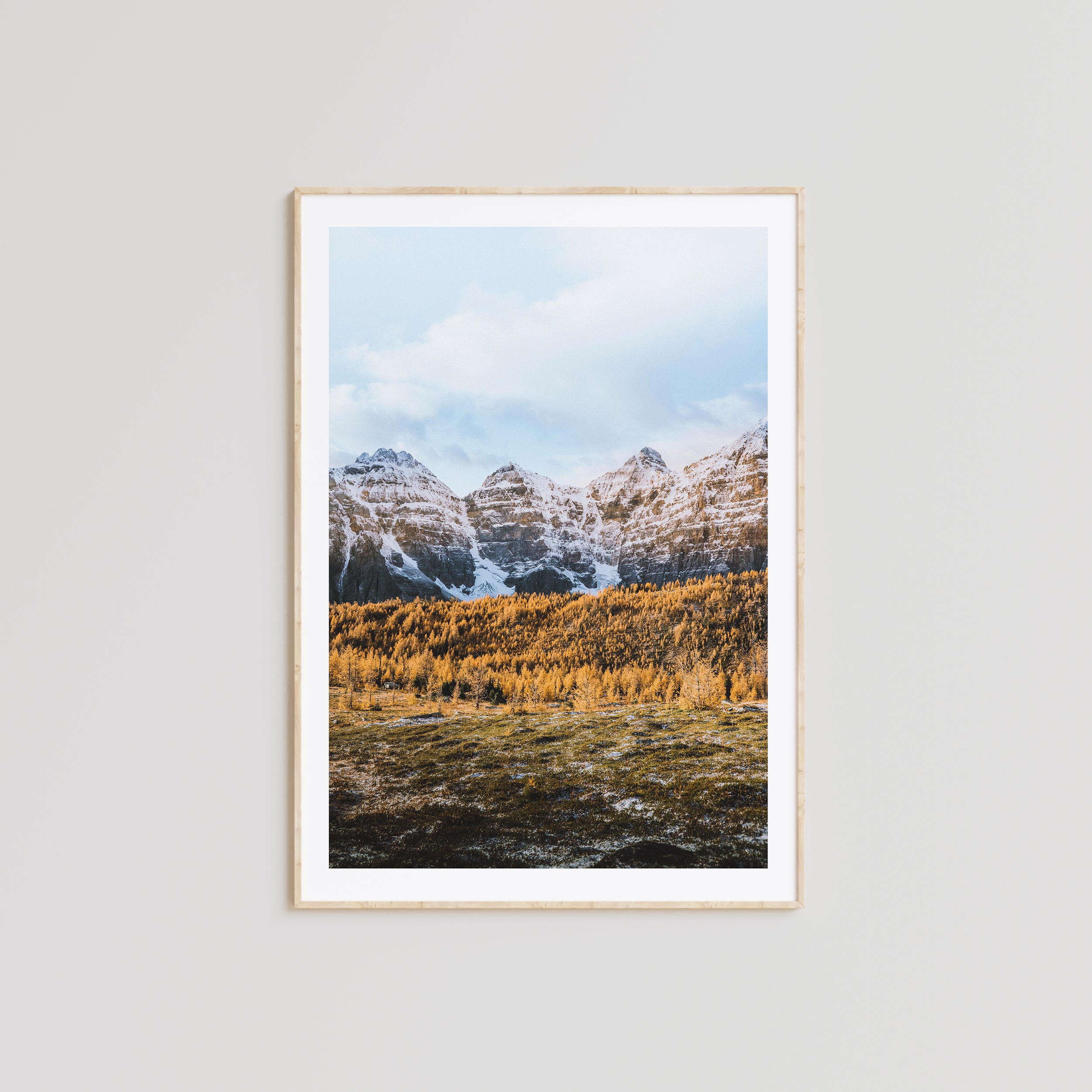 Affiche - Forêt dorée